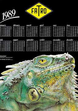 Imagen de Calendario 1989