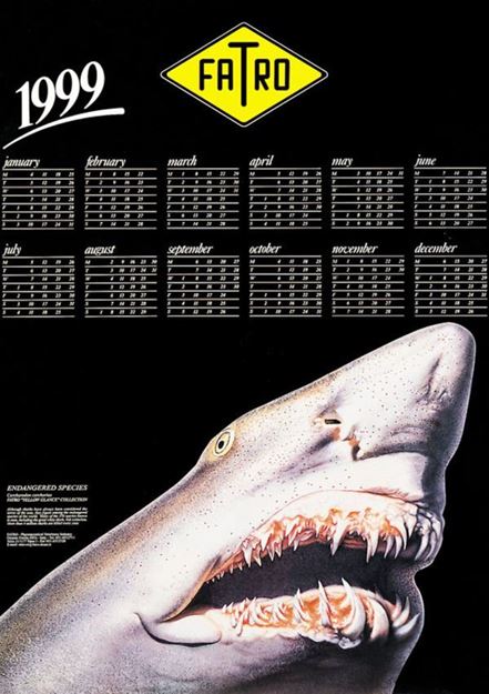 Imagen de Calendario 1999