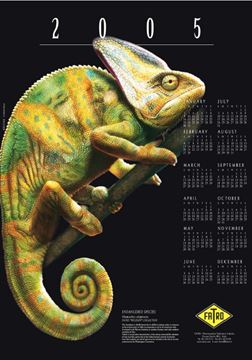 Imagen de Calendario 2005