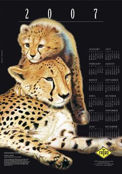 Imagen de Calendario 2007