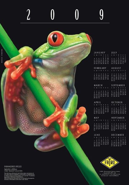 Imagen de Calendario 2009