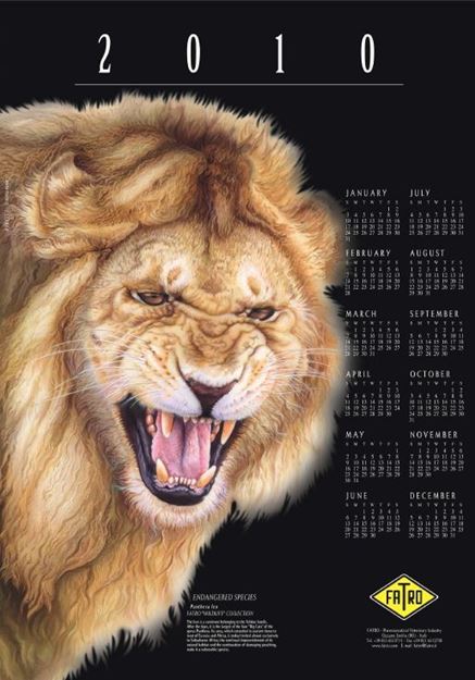 Imagen de Calendario 2010