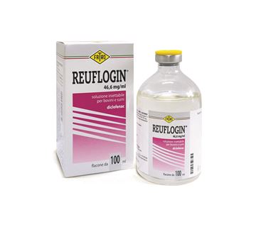 Imagen de REUFLOGIN