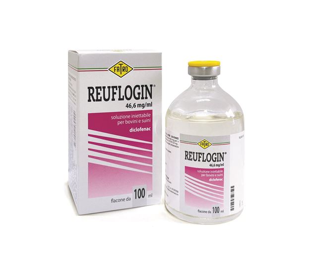 Imagen de REUFLOGIN