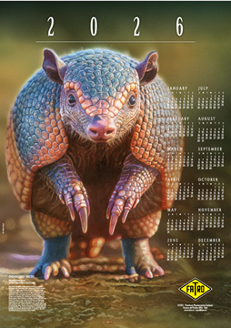 Imagen de Calendario 2026