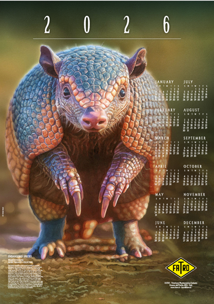 Imagen de Calendario 2026