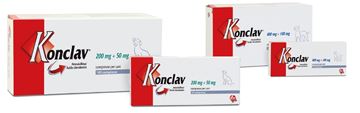 Imagen de Konclav